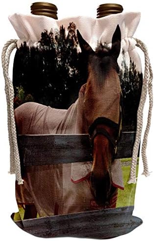 3dRose Susans Животни от зоологическата градина Кон - Главата на коня над оградата, маска от мухи - Чанта за вино (wbg_162188_1)