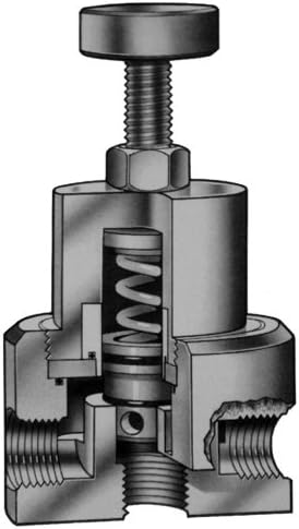 R-K Industries Серия НЛБ 1 Паралелно клапан Polypro за понижаване на налягането на 10-80PSG, Вакуум-150PSIG Viton Seals FNPT