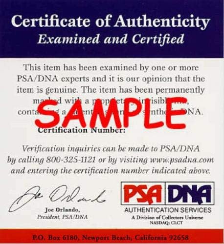 Рон Санто, PSA DNA Coa, Подписано Автограф Върху Снимката 8x10 за Малките Снимки на MLB С автограф