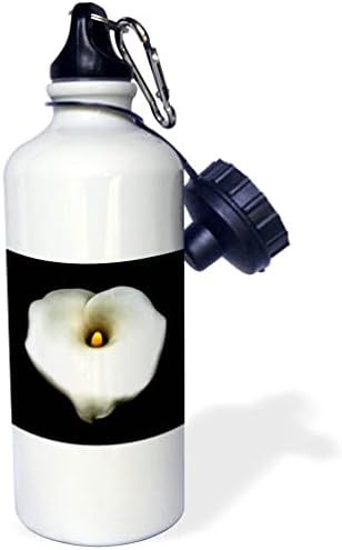 3dRose Художествена Единичен Кала във формата на Сърце, поставен в бутилка с Черна вода (wb_357190_1)