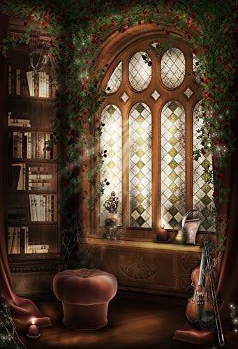 Баоцикко Магическа Библиотека Интериор На Фона на Дъската 6x9 фута Фон За Снимки Читалня bookshelf Арочное Прозорец
