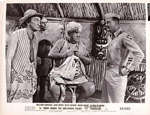 1951 Долу, Сред Укрывающих палми, Кадър от филм 8x10 37