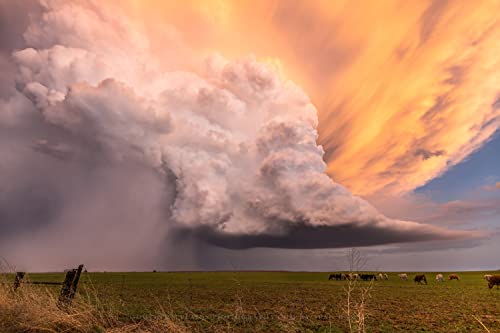 Снимка буря Печат (без рамка) Изображение Суперячейки Дъжд над полето на залез слънце на пролетта вечер в Канзас