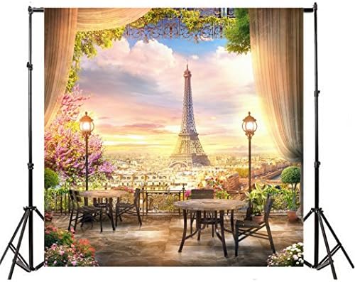 LFEEY 6x6ft Френски Париж-Айфеловата Кула Градински Фонове за Фотосесия Прозорец Завеса Цветя, Дърво, Залез