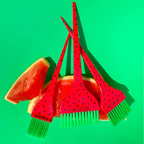Четка за боядисване на коса Colortrak Summer Treats в продуктова гама (3 опаковки), Масивна / Перьевая / Прецизна