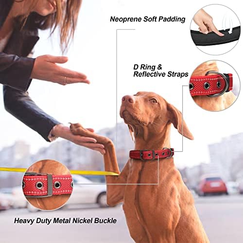 Нашийник за кучета PetiFine Heavy Duty със здрава метална катарама, Удобни нашийник за кучета с подплата от