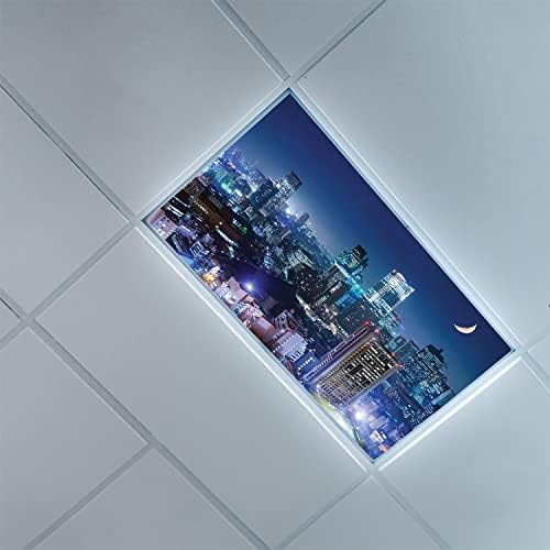 Луминесцентни осветителни тела за таван разпръскване панели-Фигура от градския пейзаж-Луминесцентни осветителни