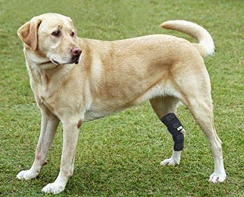 Бандаж за задните крака на Кучето Една Двойка Третира Скакательный ставата, Обертывающий Ръкав за Задните крака