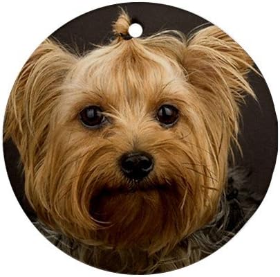 MYDply Украса за Кученце йоркширски Териери От Кръгла Порцелан На Коледа Страхотна Идея за Подарък